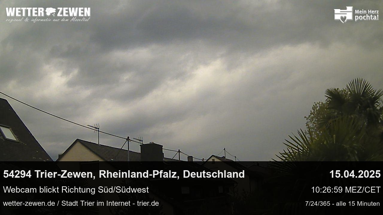 Bild