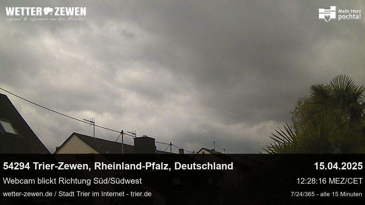 Bild