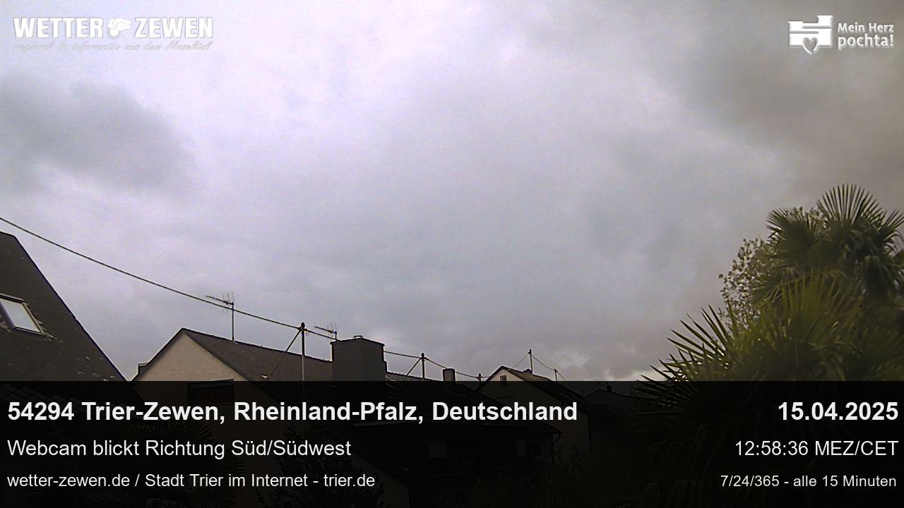 Bild