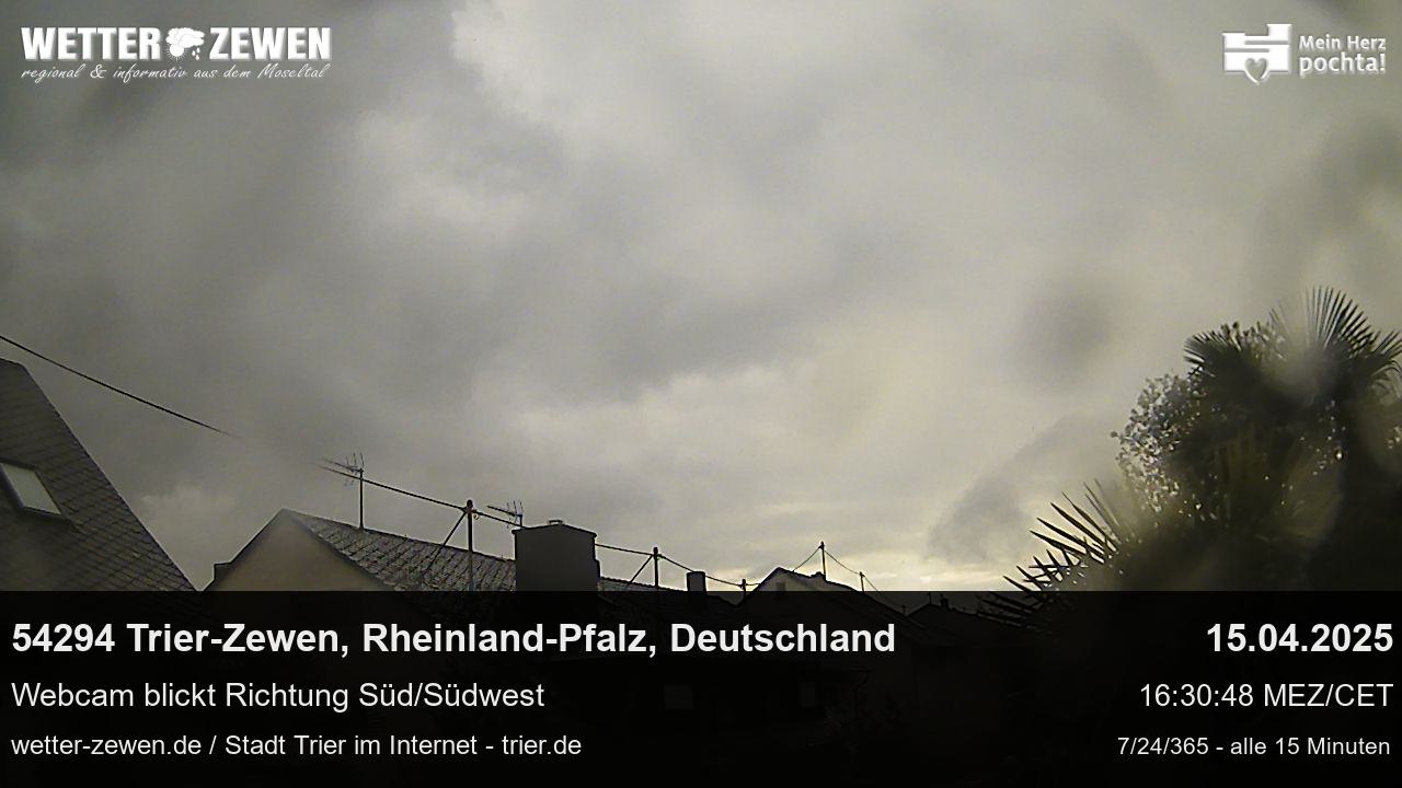 Bild