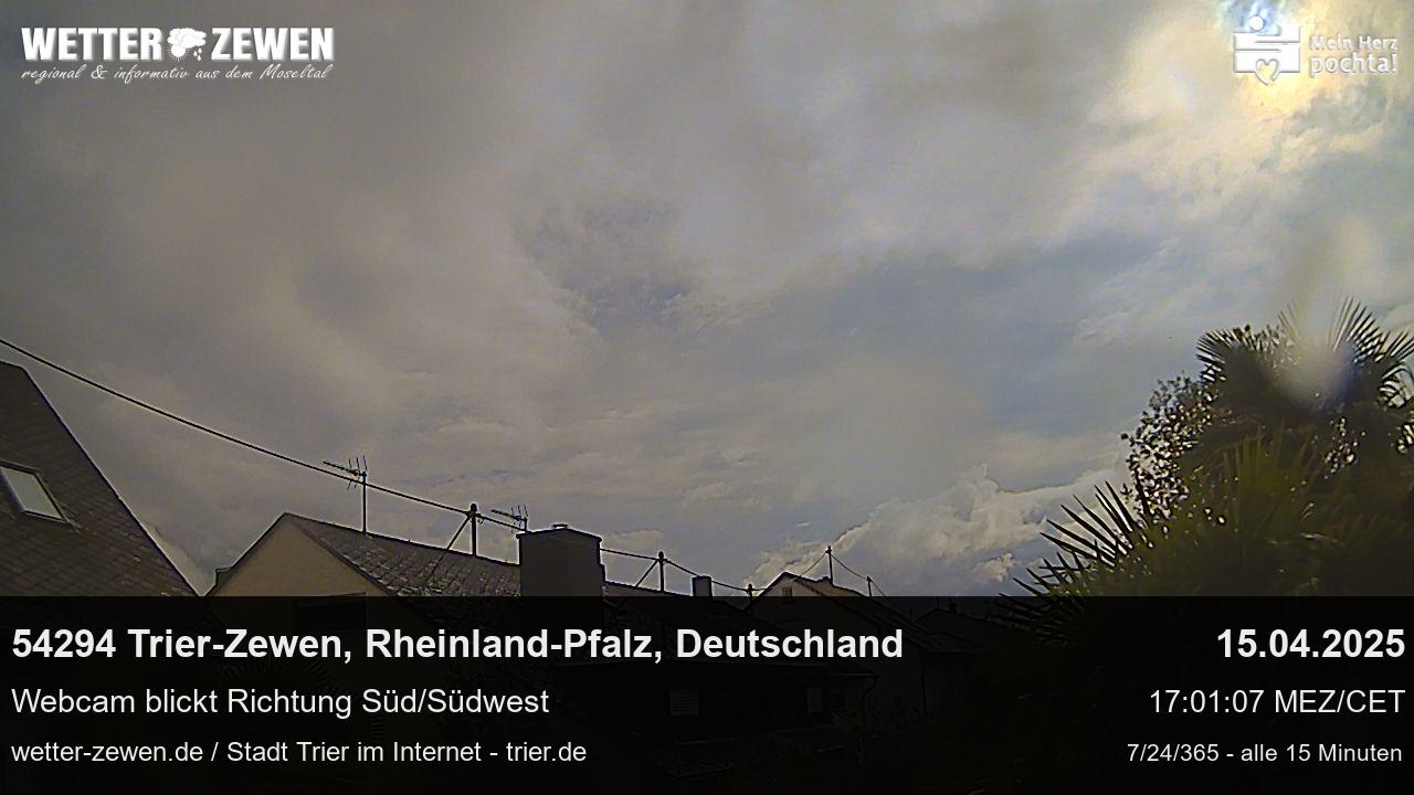 Bild