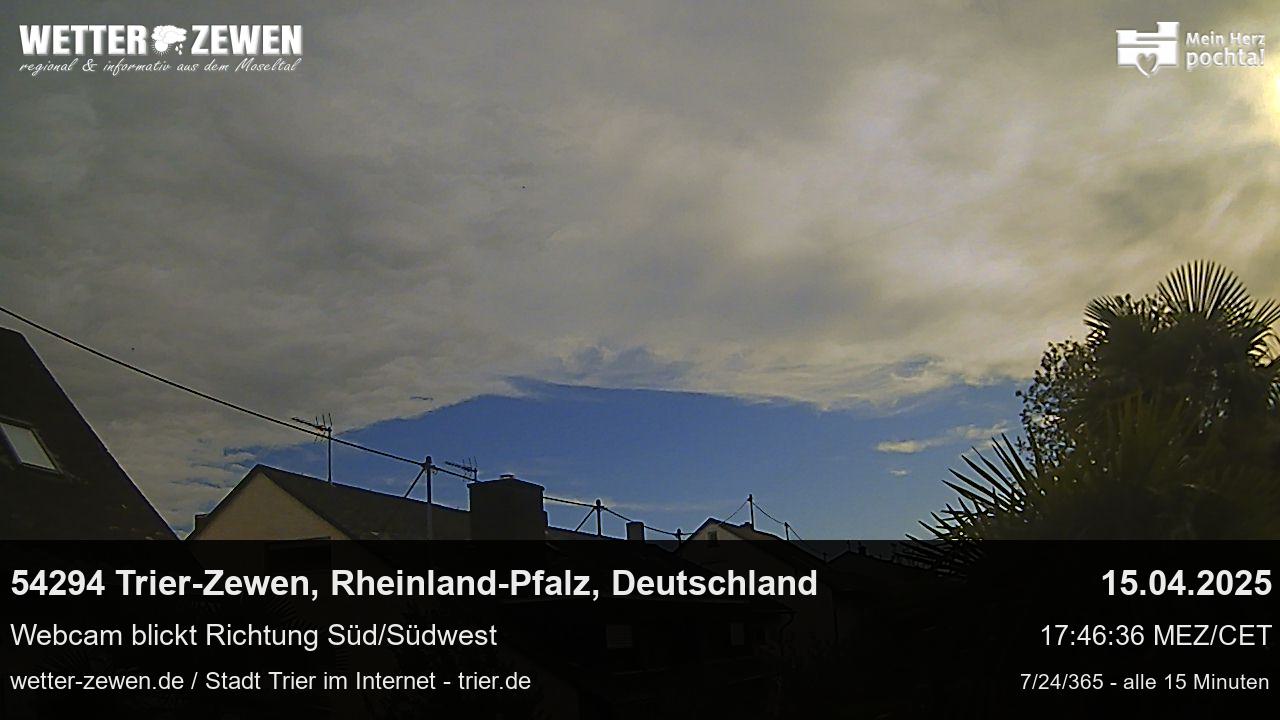 Bild