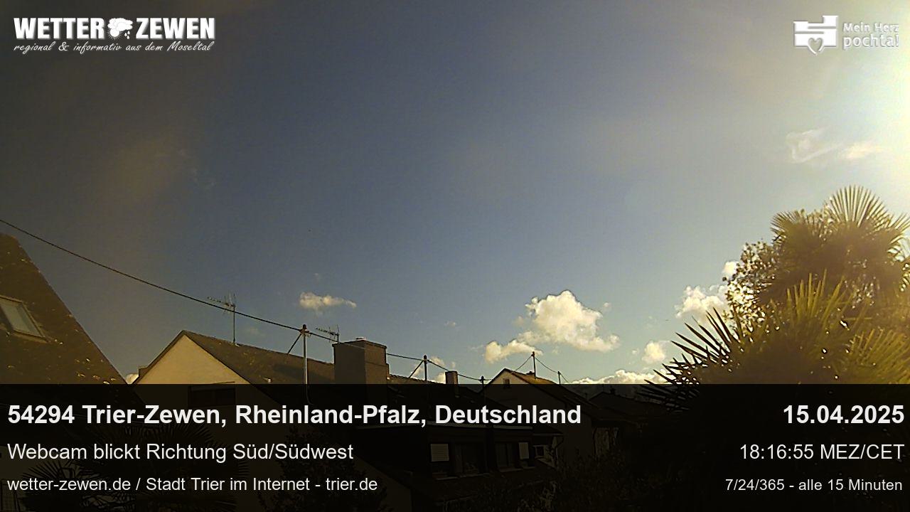 Bild