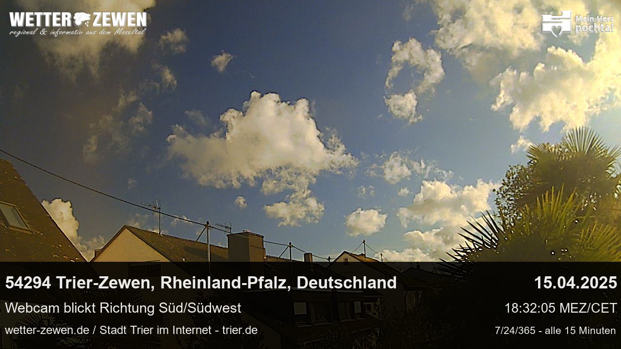 Bild
