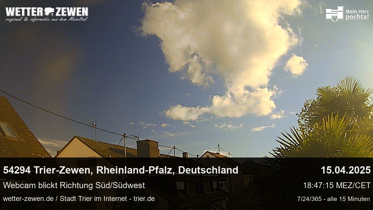 Bild