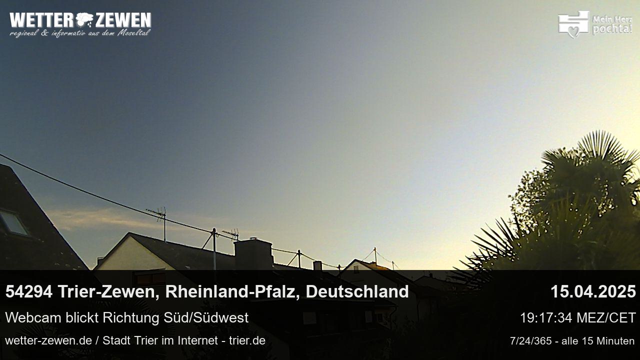 Bild