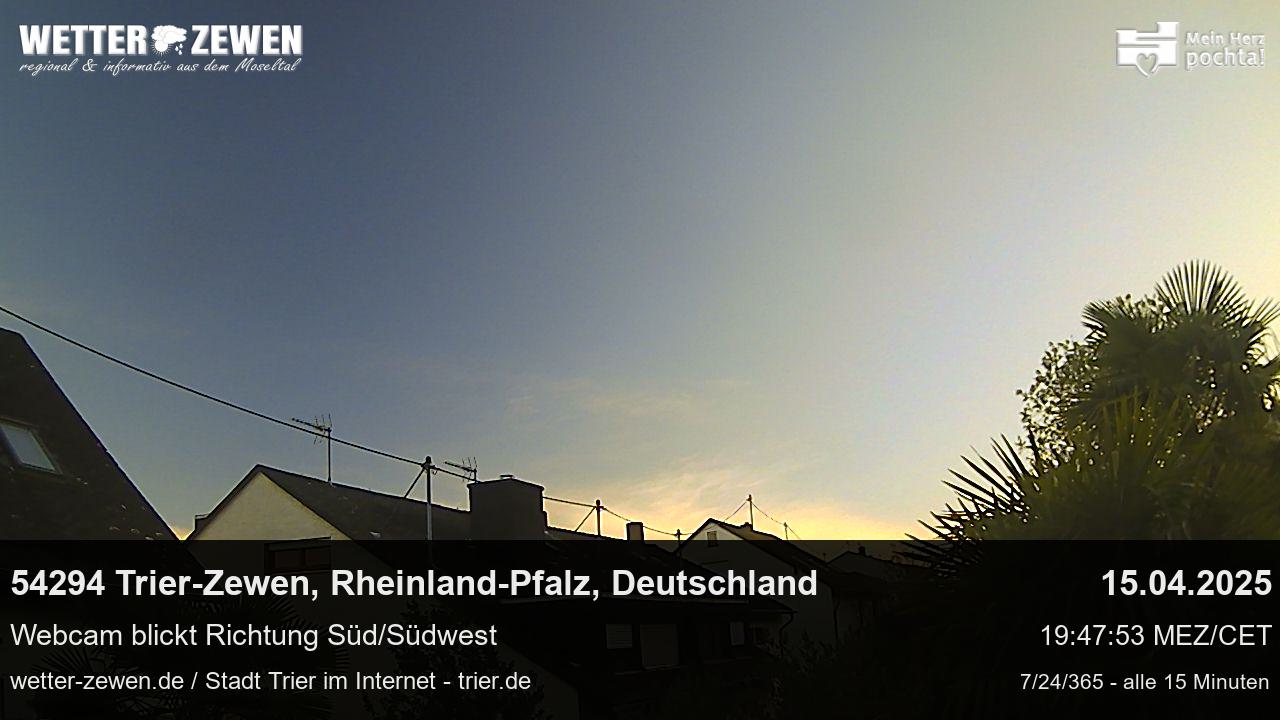 Bild