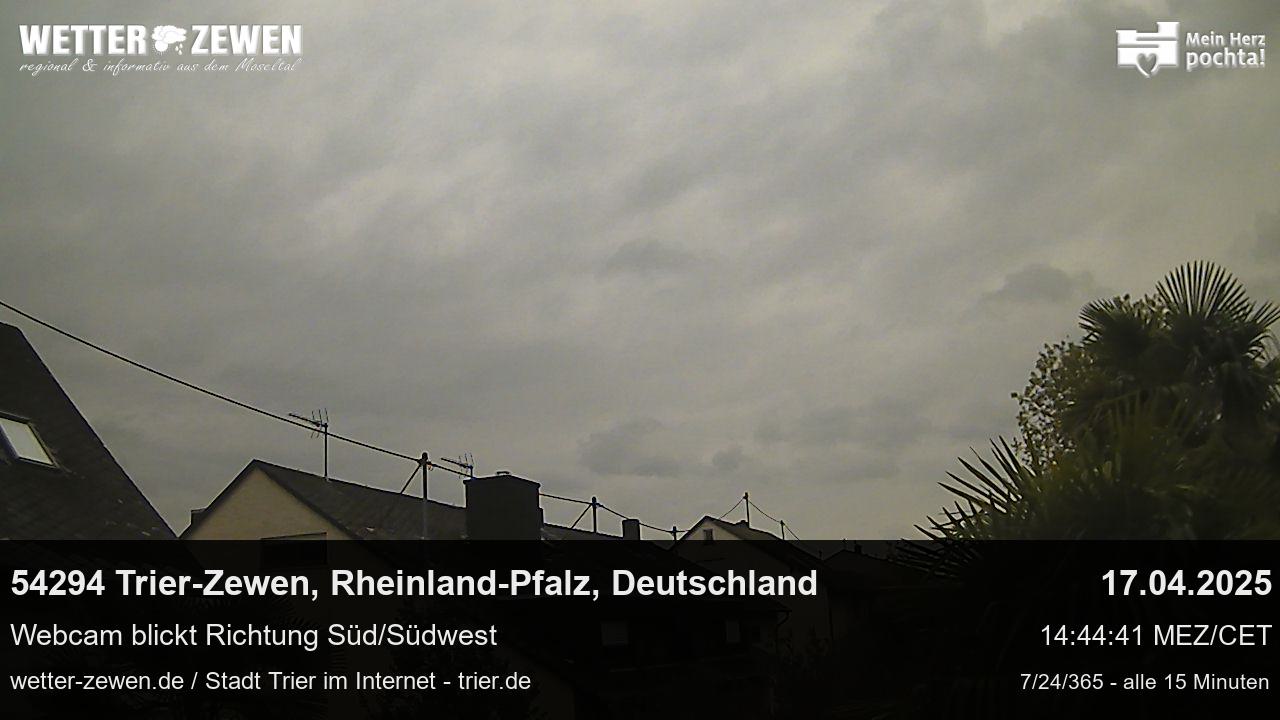 Bild