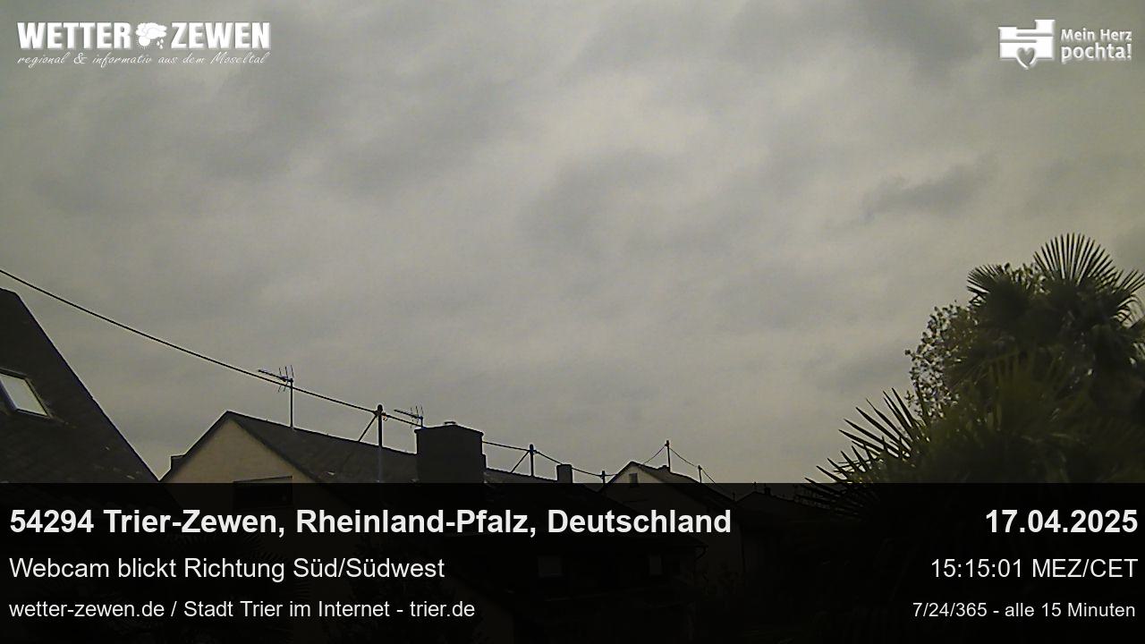 Bild