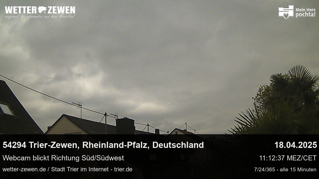 Bild