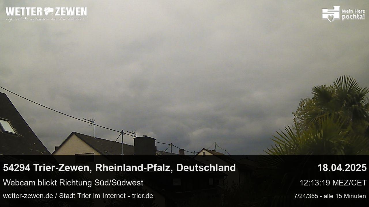 Bild
