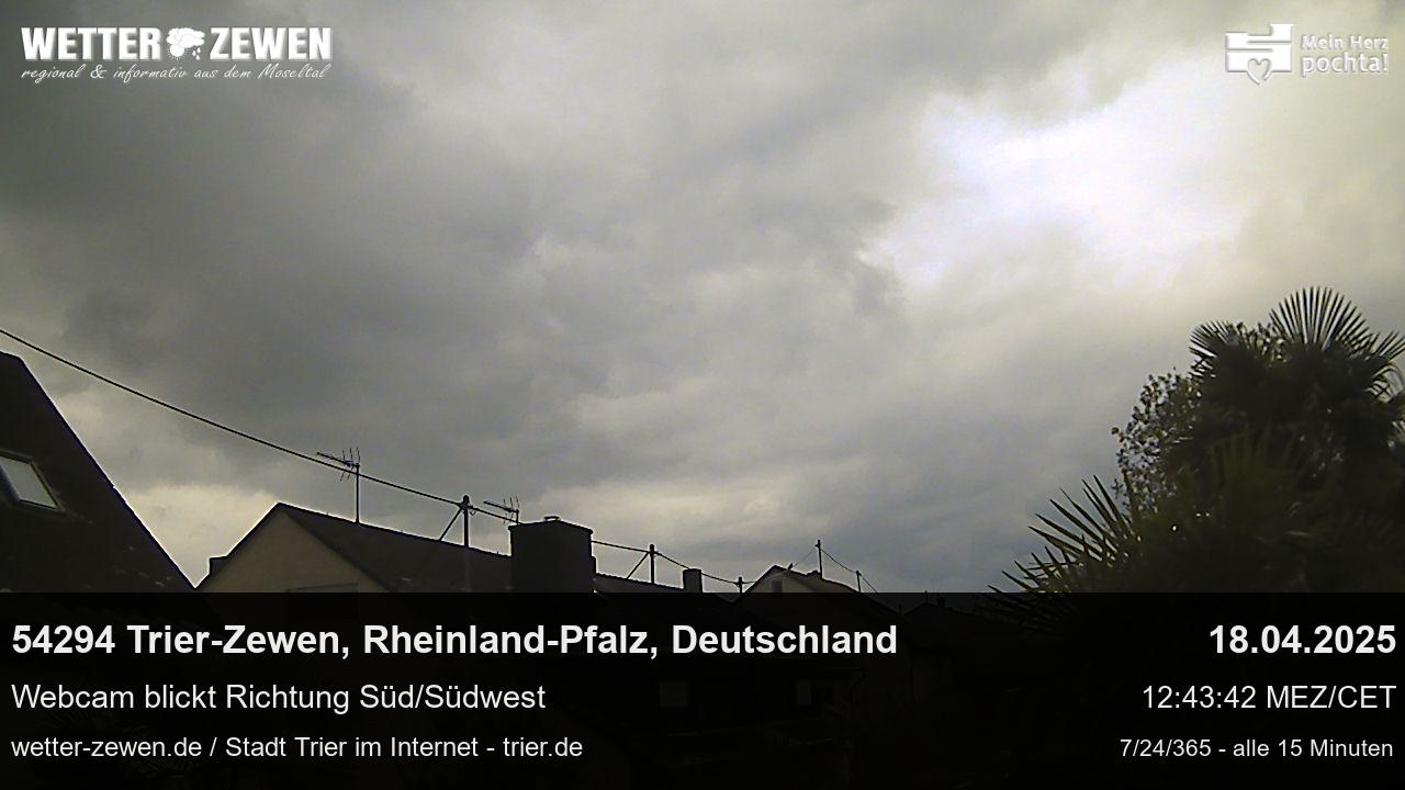 Bild