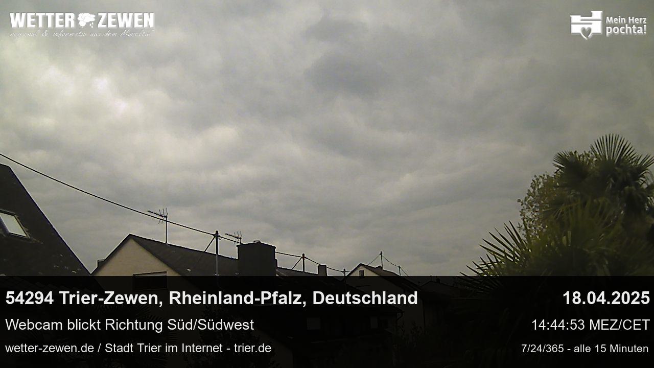 Bild