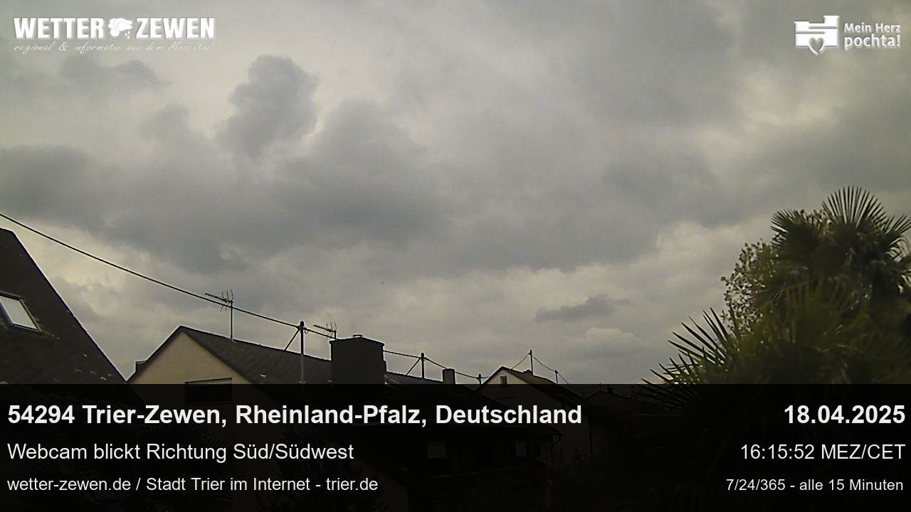 Bild