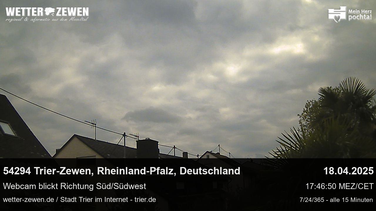 Bild