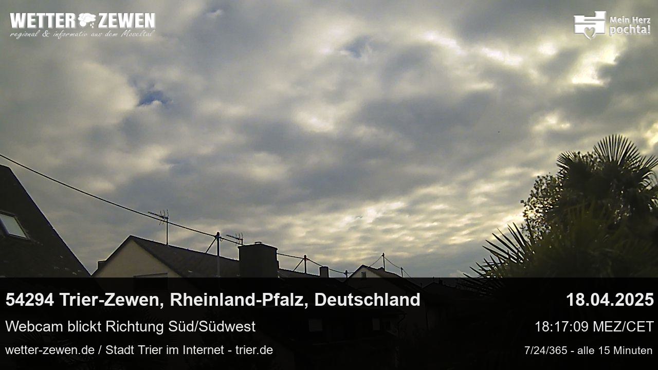Bild