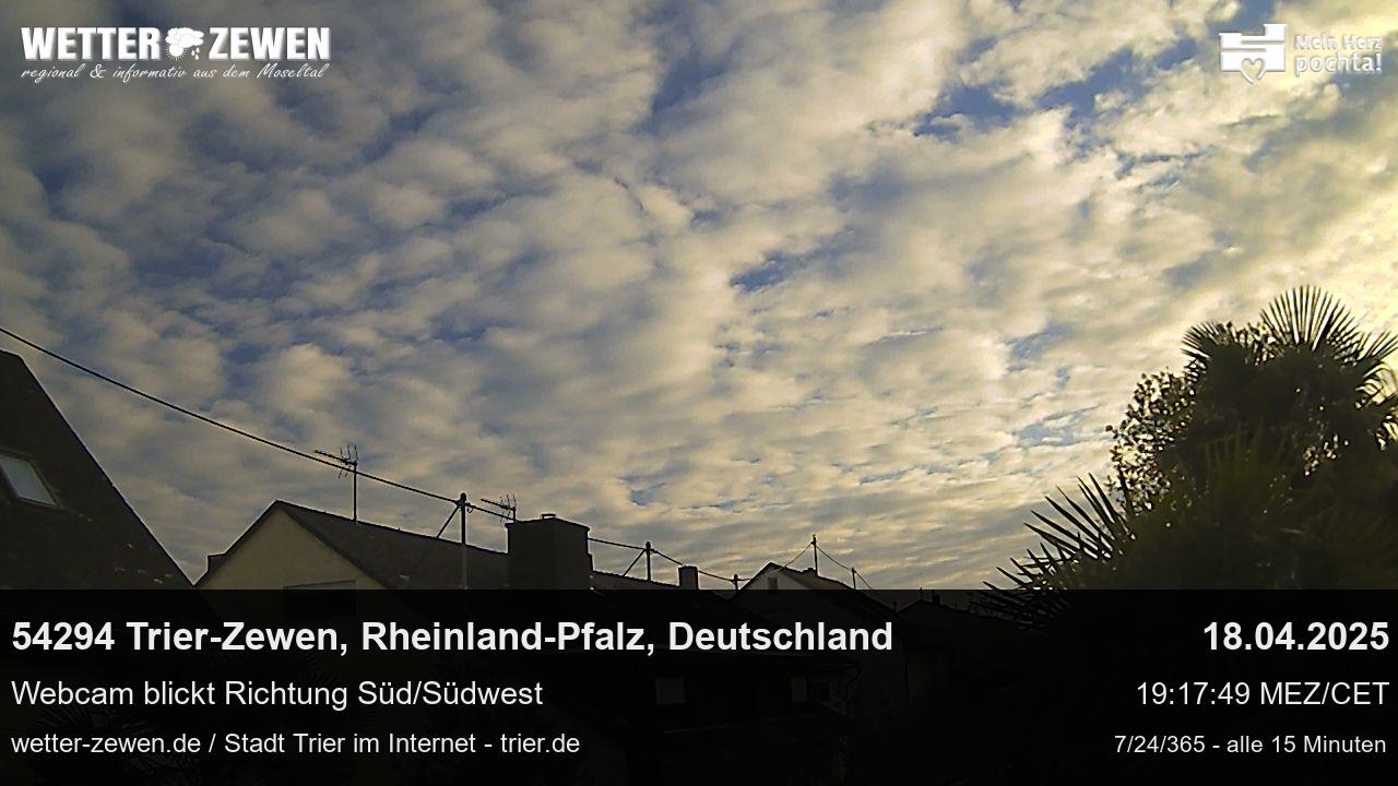 Bild