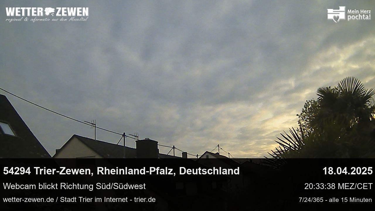 Bild
