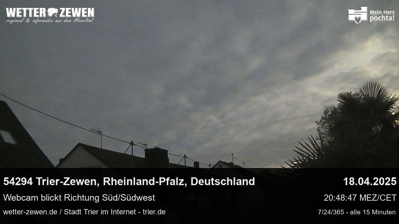 Bild