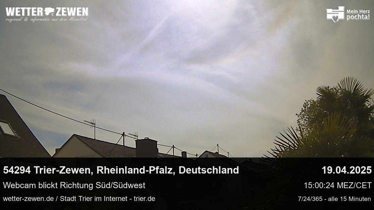 Bild
