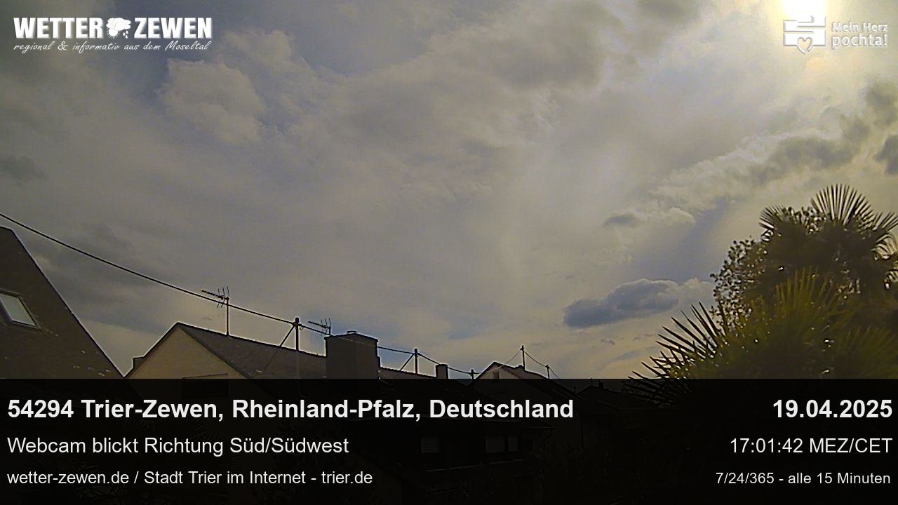 Bild