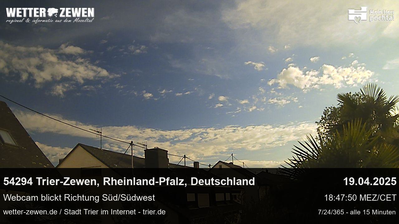 Bild