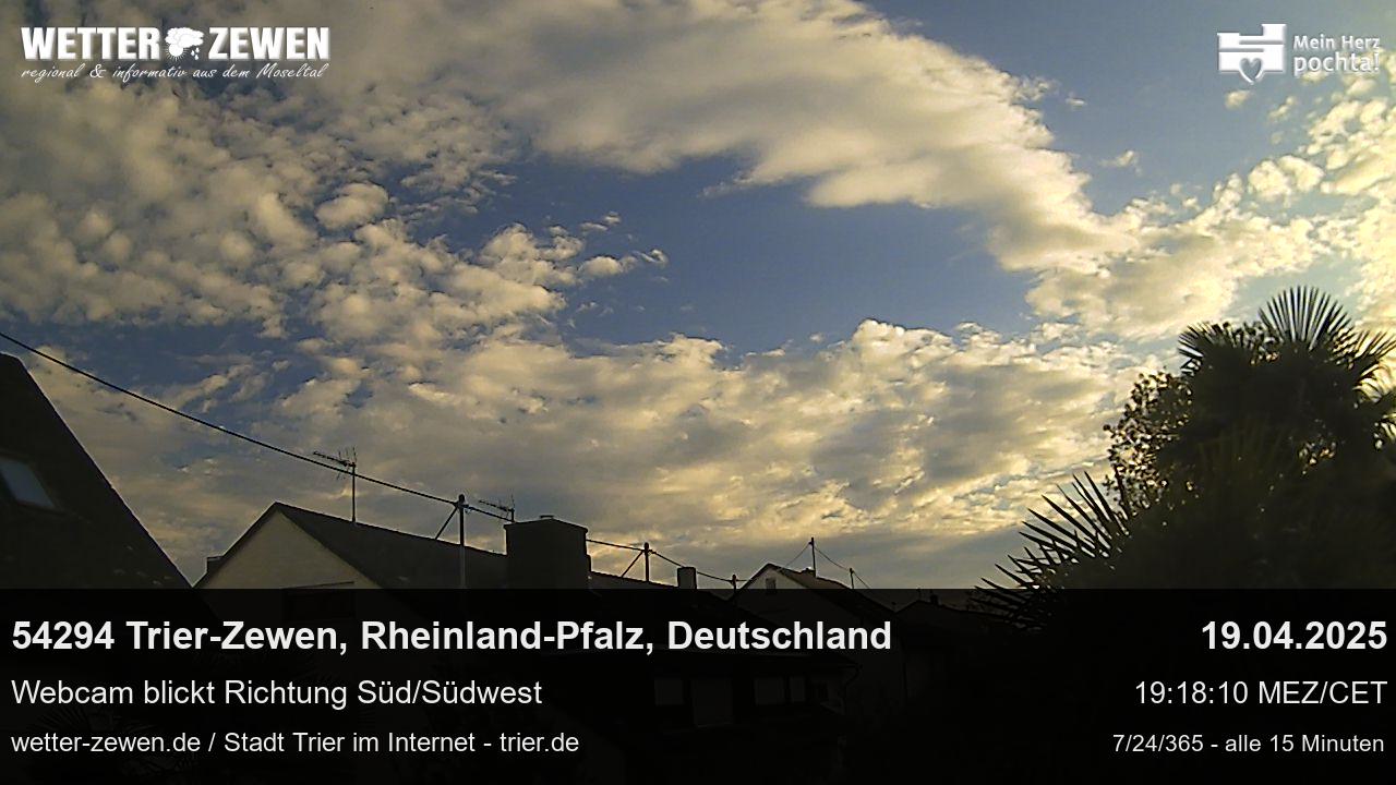 Bild