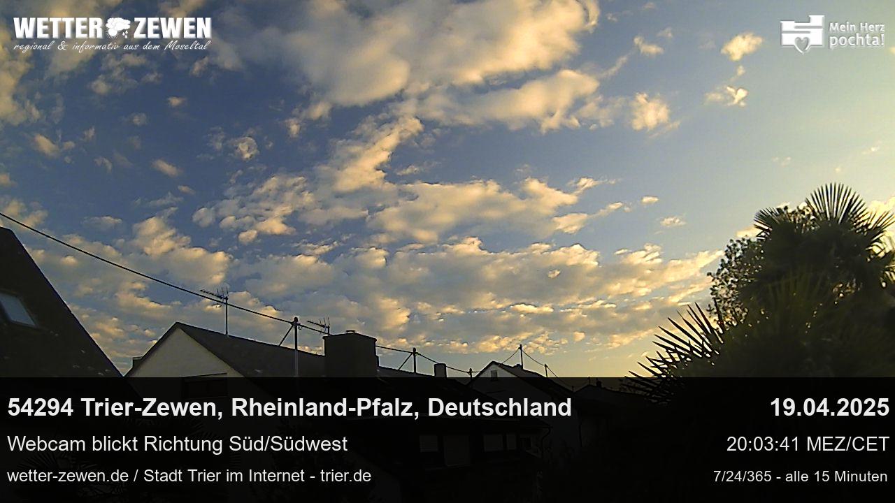 Bild
