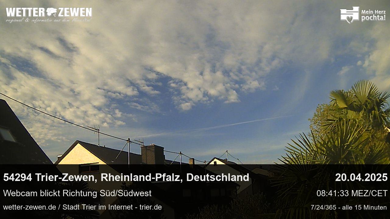 Bild