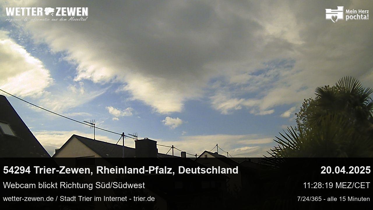 Bild