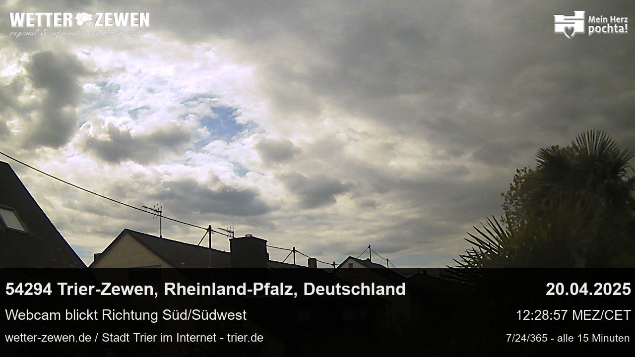 Bild