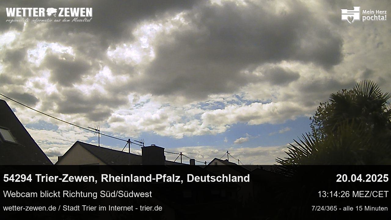 Bild