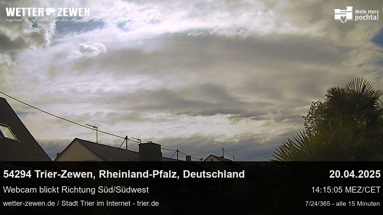 Bild
