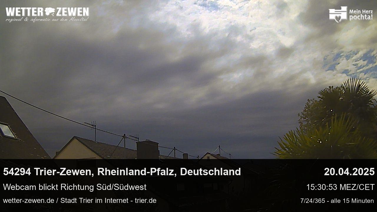 Bild