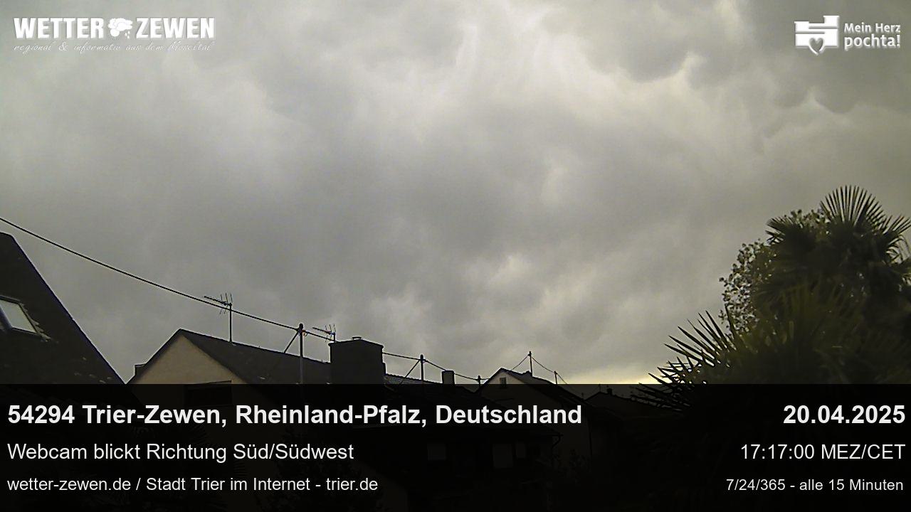 Bild