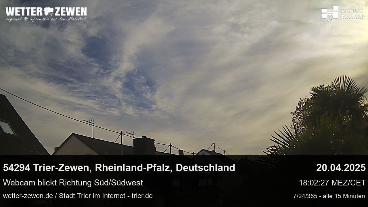 Bild