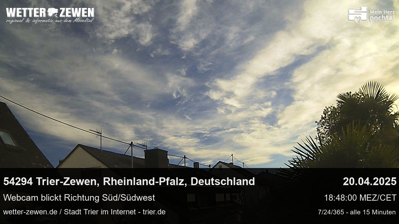 Bild