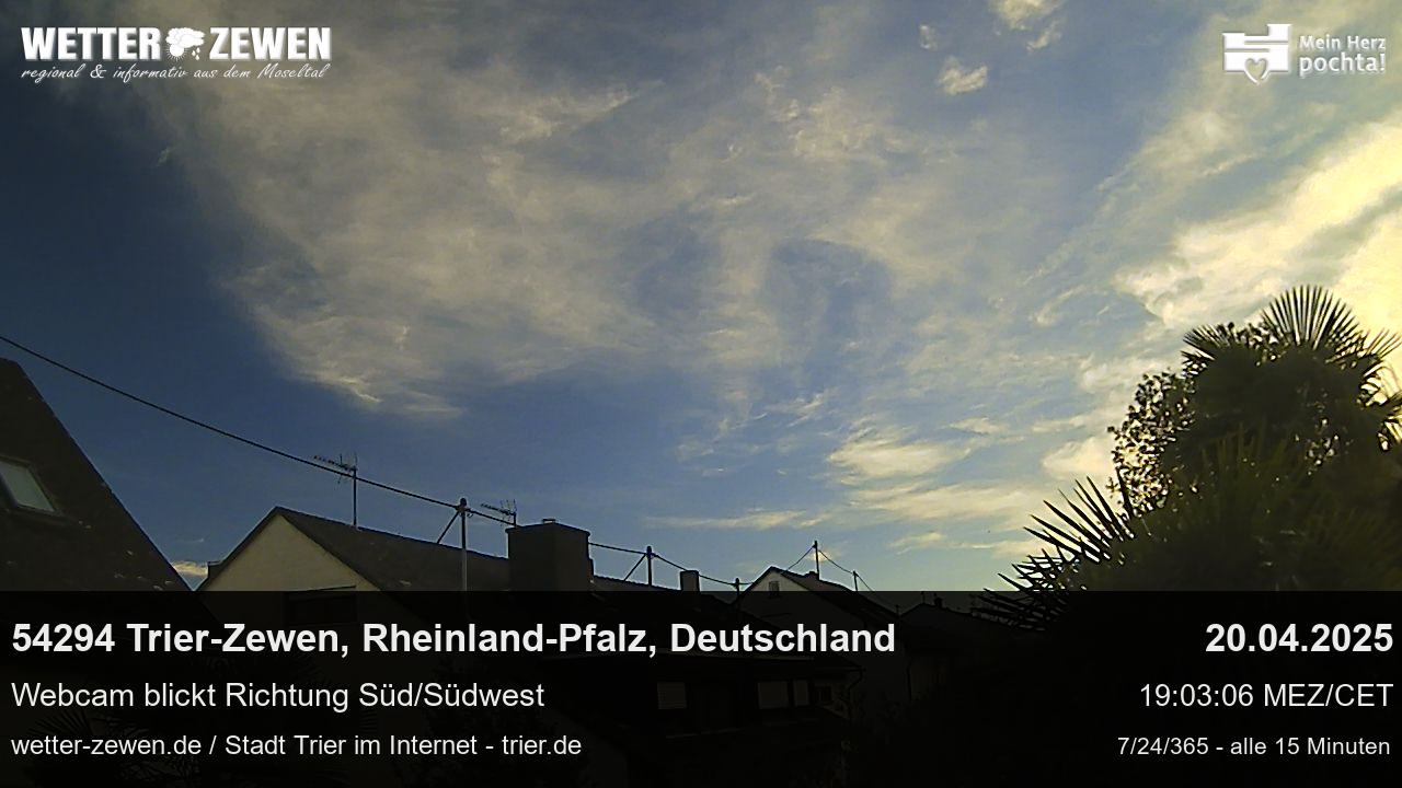 Bild