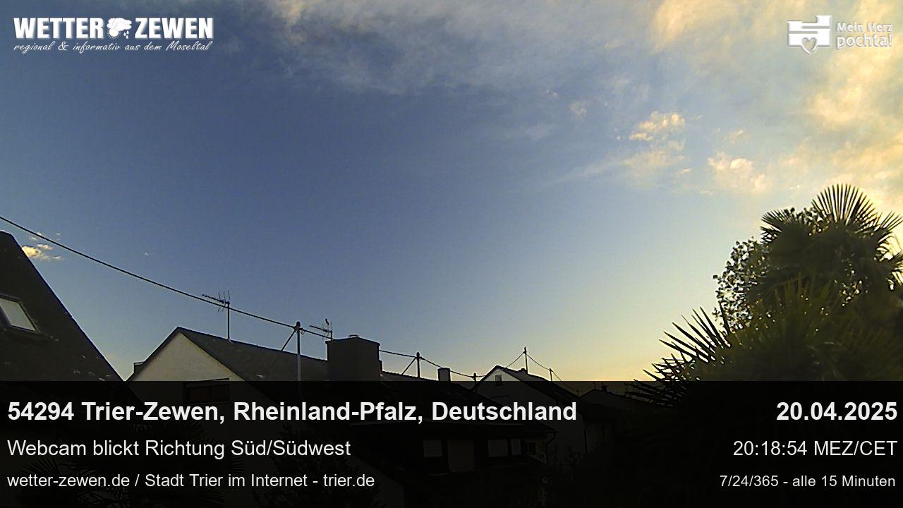 Bild