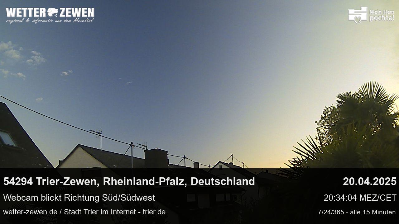 Bild