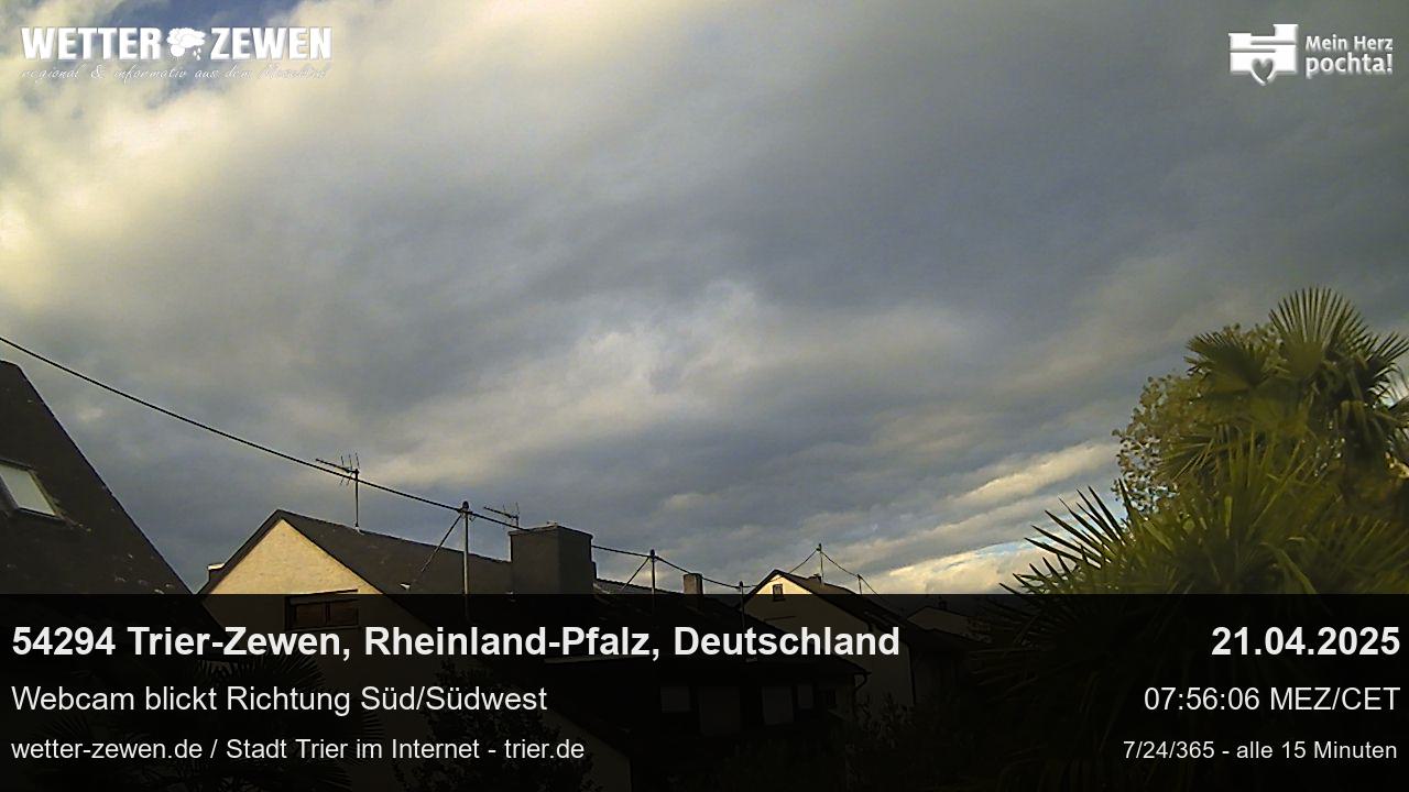 Bild