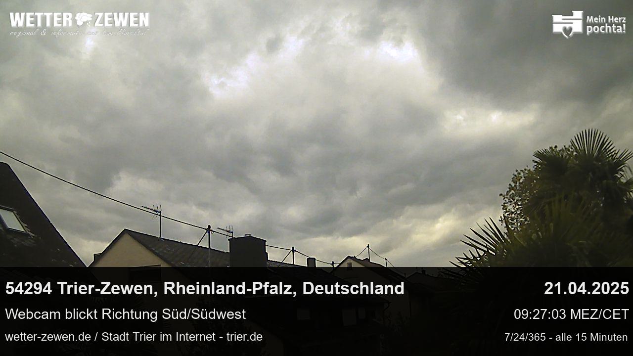 Bild
