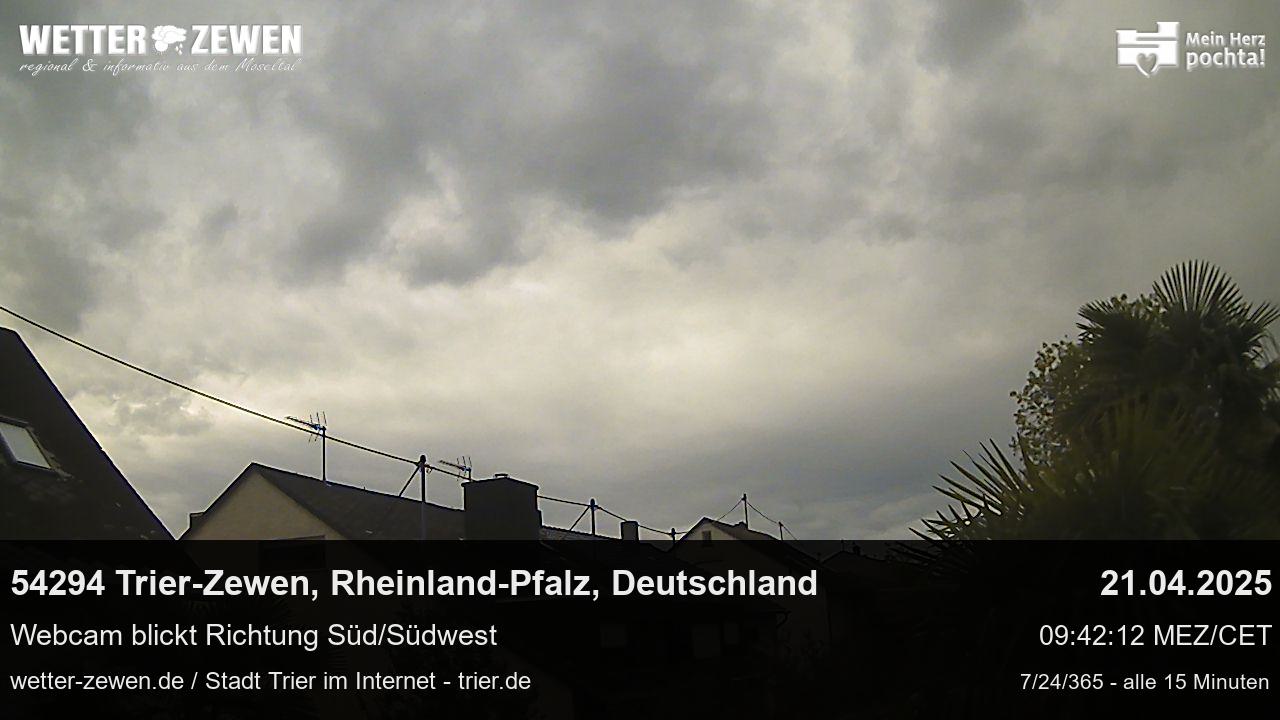 Bild