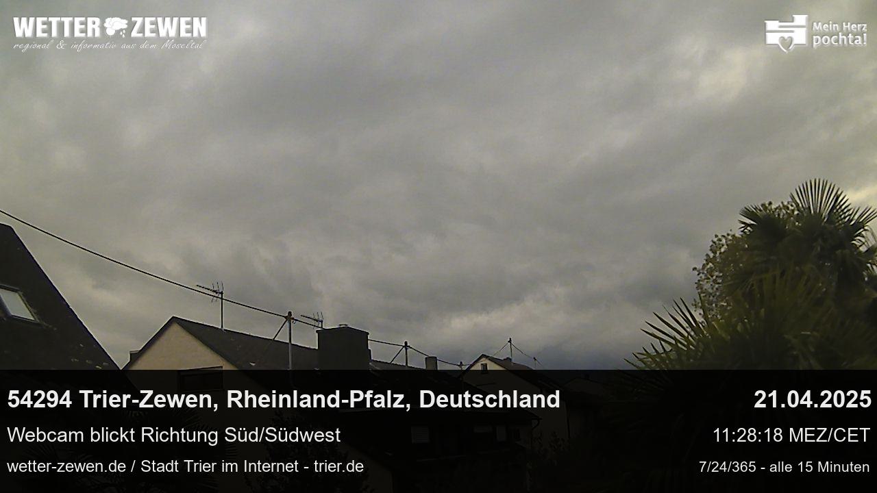 Bild