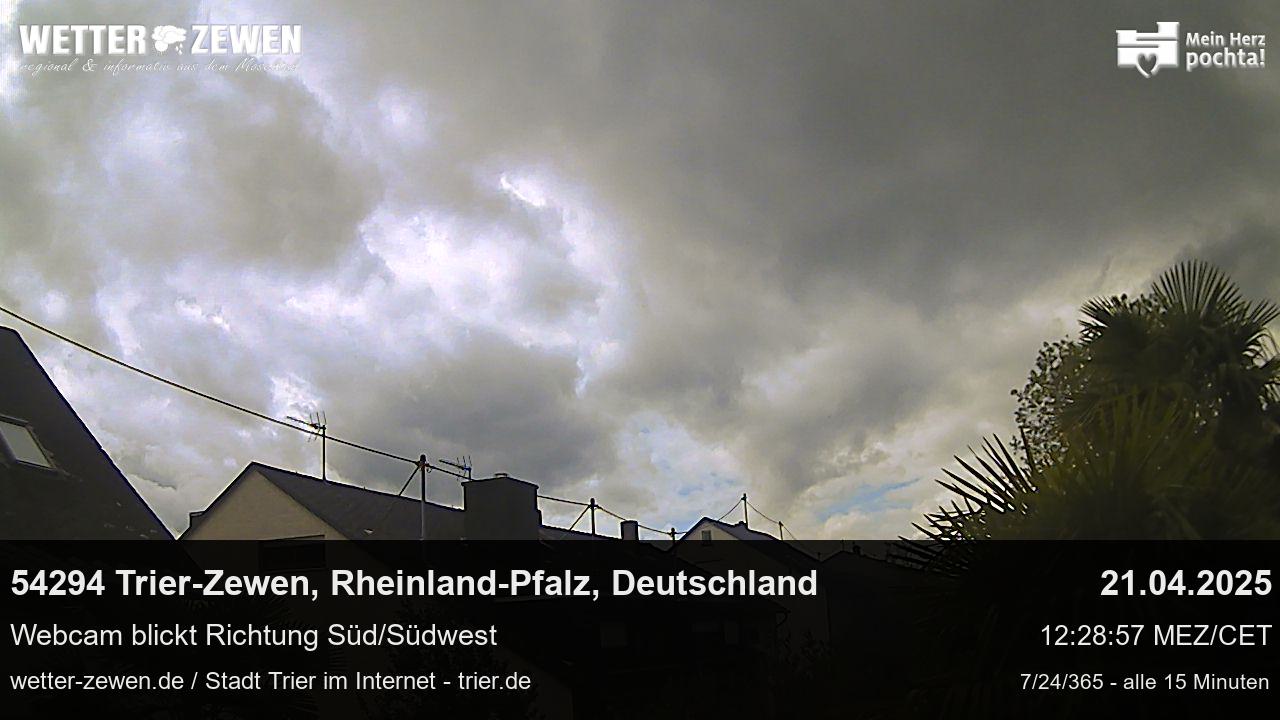 Bild