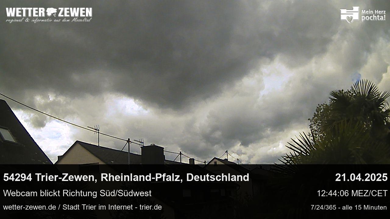 Bild