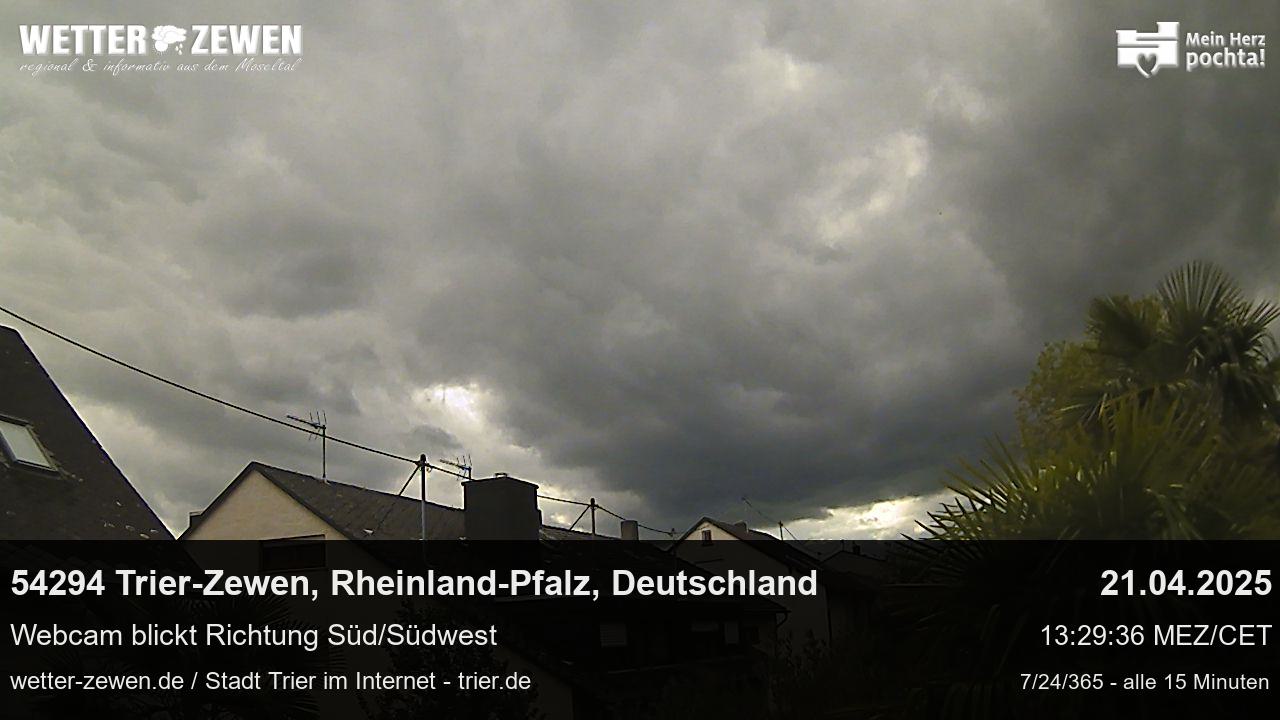 Bild