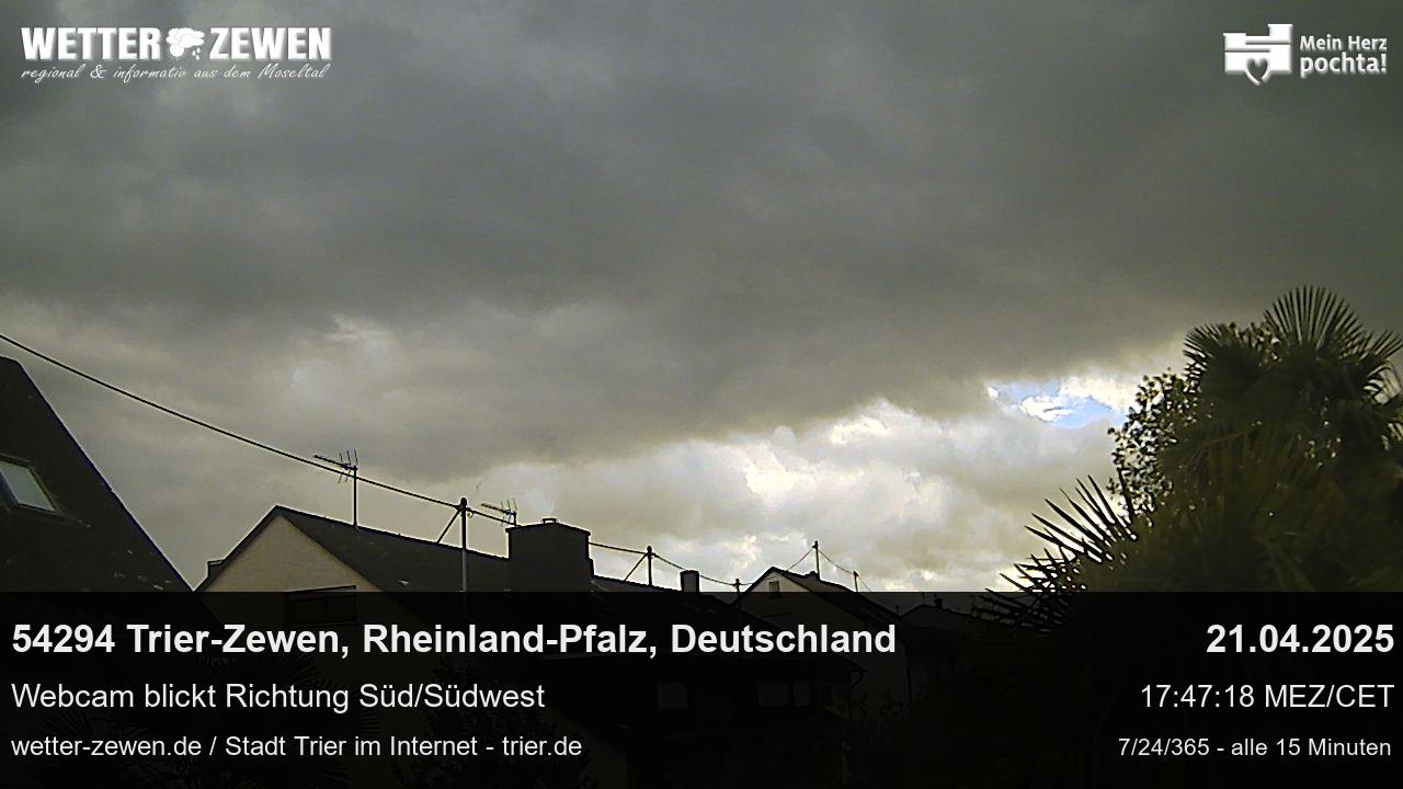 Bild