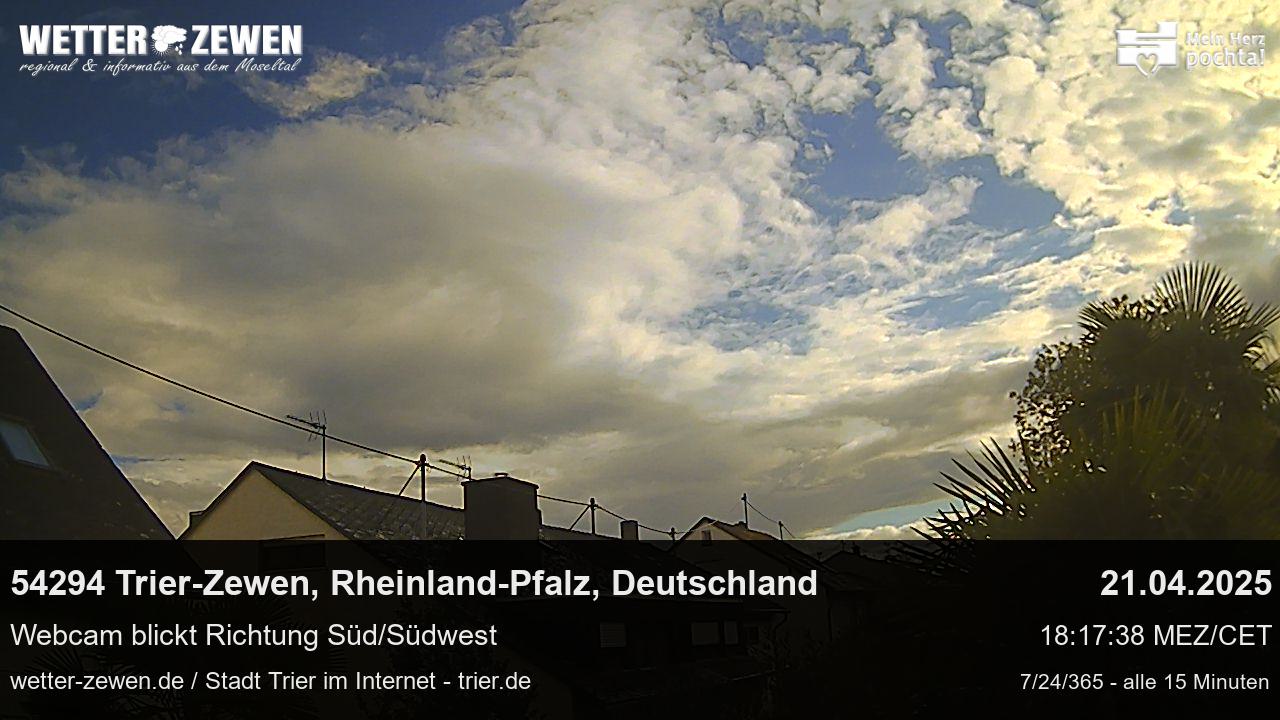 Bild