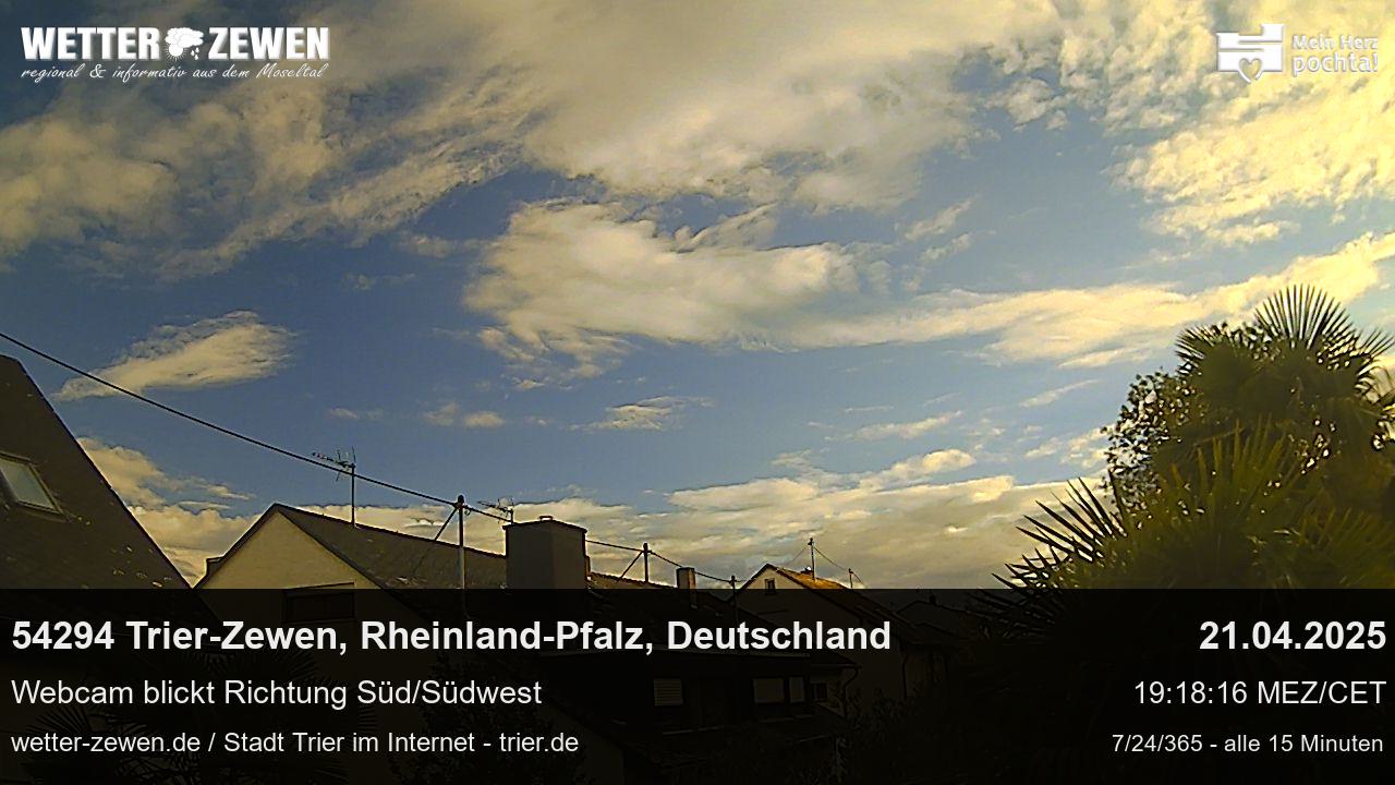 Bild